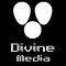 Divine Media - Professionele websites vanaf 100 euro