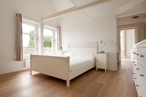 Luxe vakantie woning in Warder